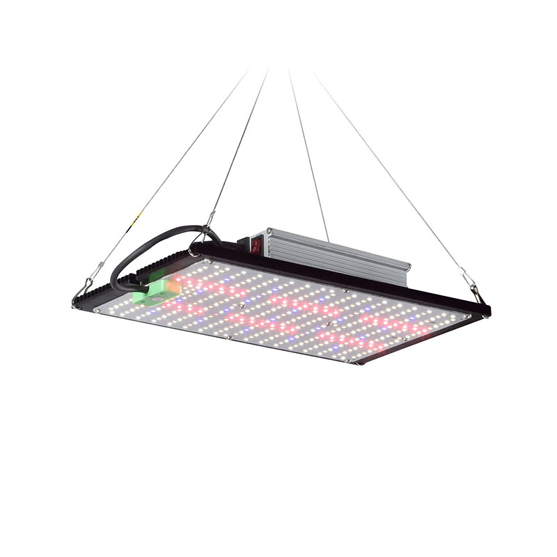 Grow Light Led - Lámpara de Cultivo LED Quantum-Board de