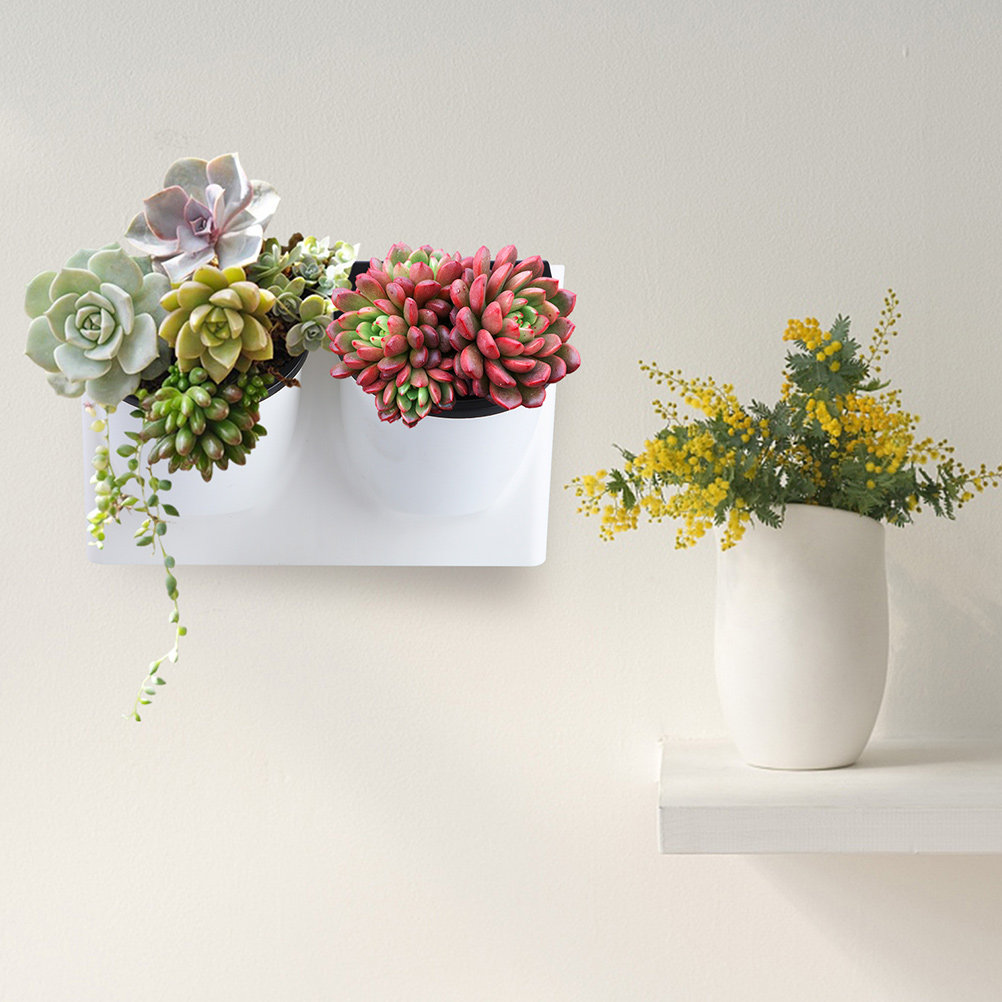 Self Watering Planter - Maceta de Plástico con Autorriego para