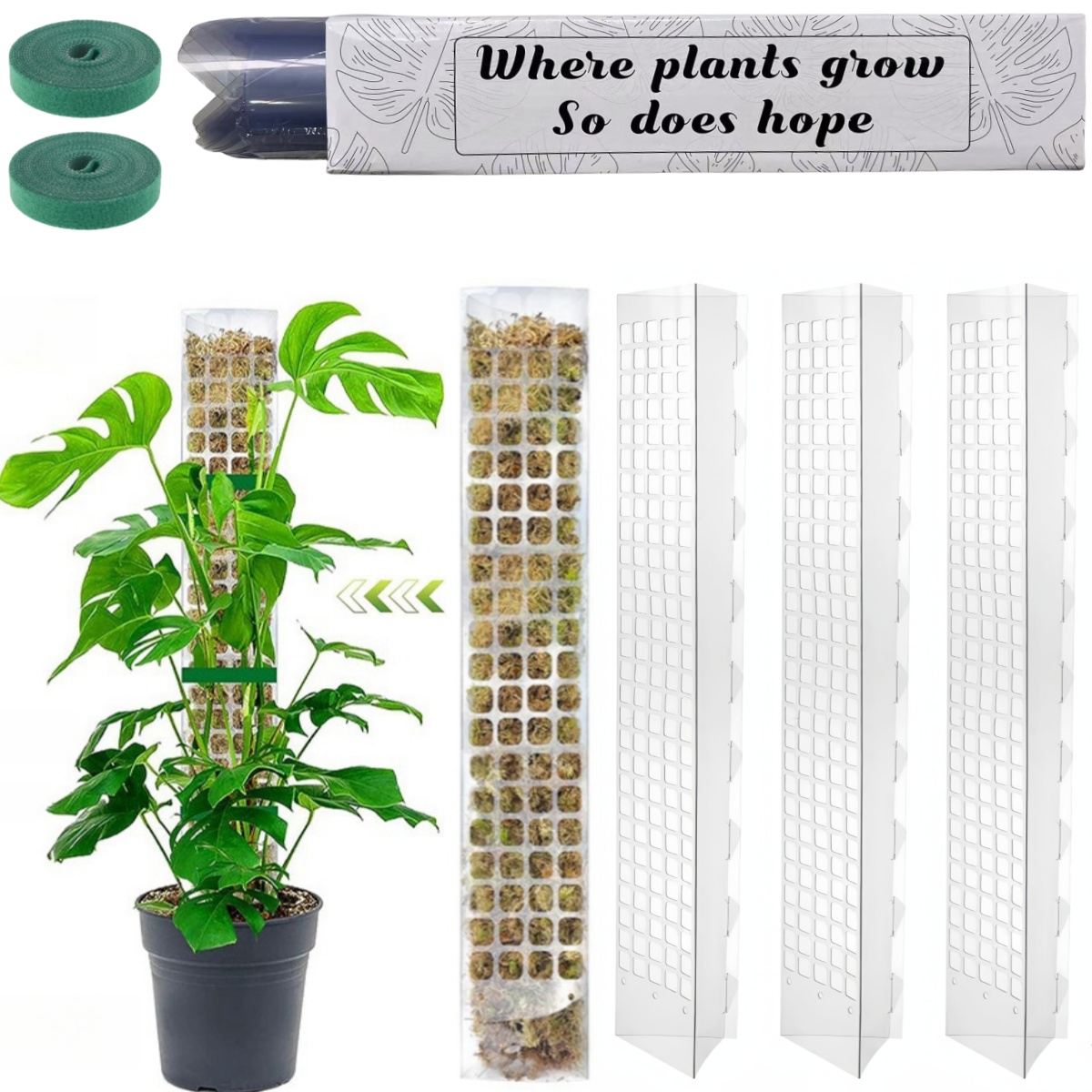 Indoor Herb Garden - Poste de musgo, soporte de plástico