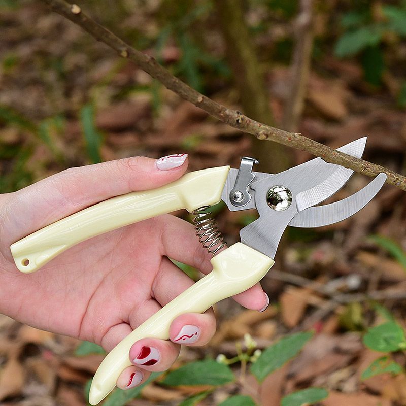 Pruning Shears - Tijeras de podar de jardín que
