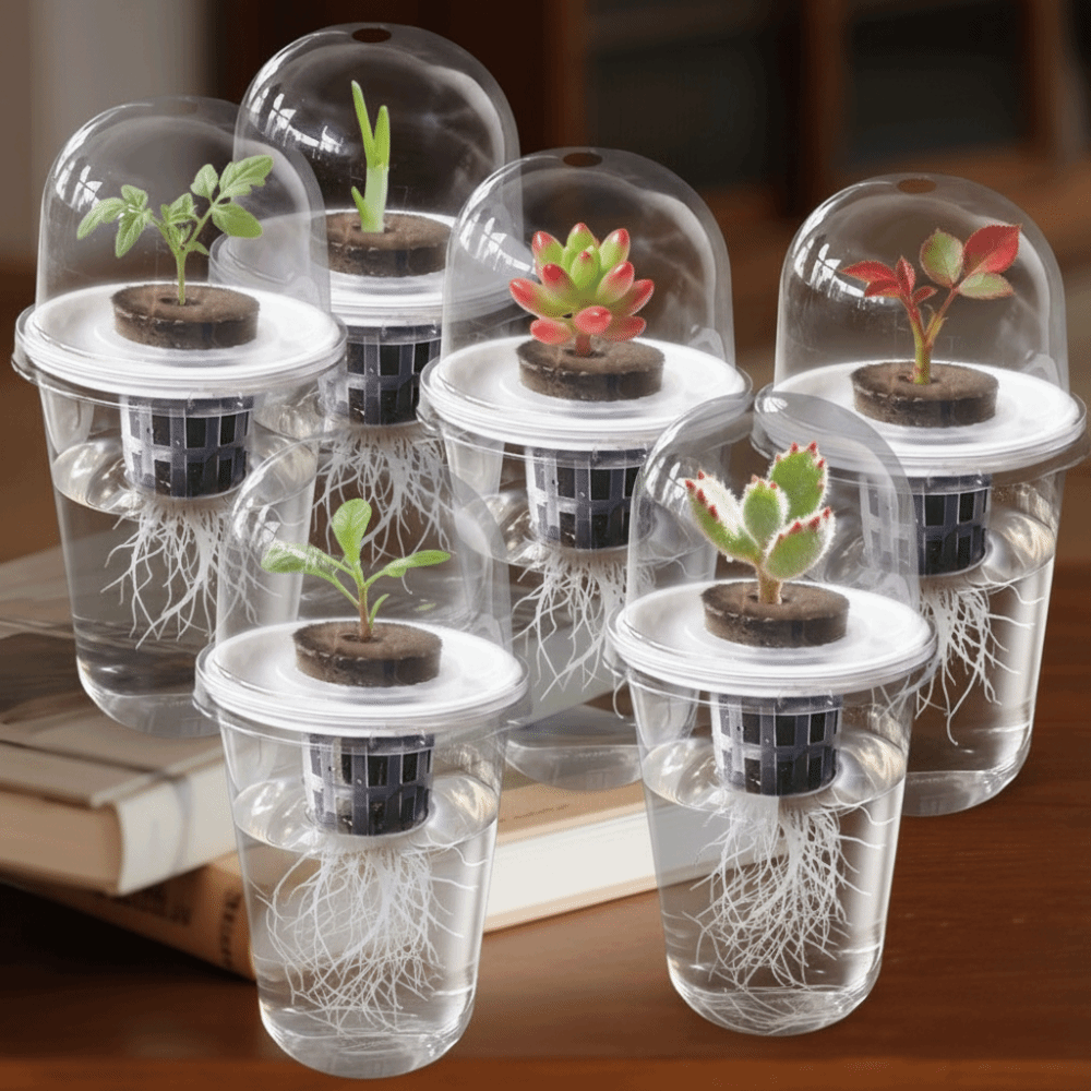 Seed Starter Tray - 1-5 Vasos Transparentes para Germinación de