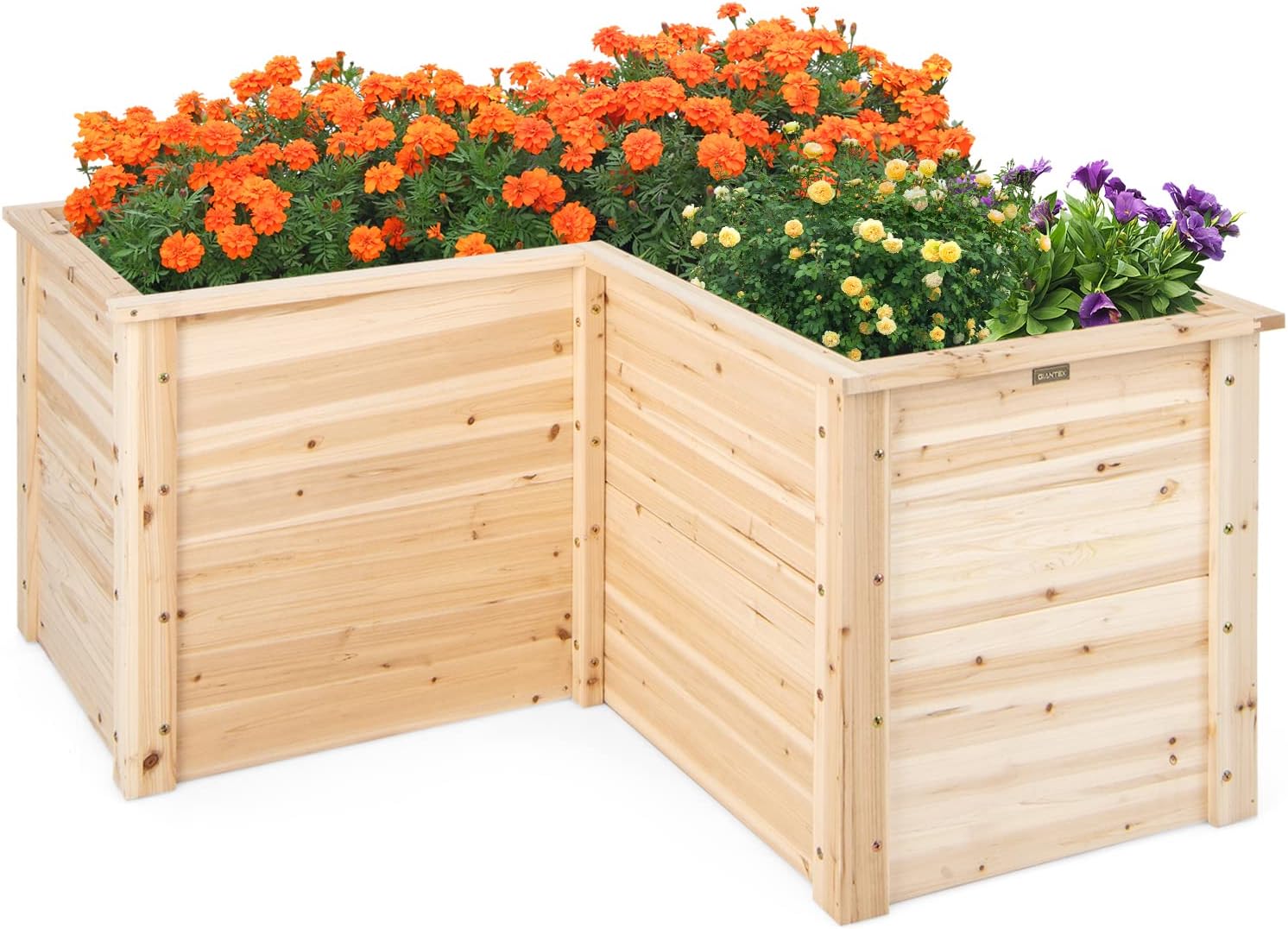 Raised Garden Bed - Jardinera Elevada de Madera Maciza para