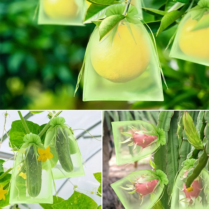 100 Bolsas Protectoras Verdes  - Grow Bag reseña y precio