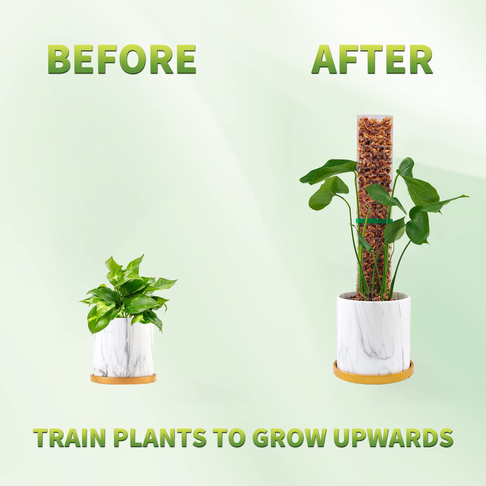 Postes de musgo, soporte para  - Indoor Herb Garden reseña y precio
