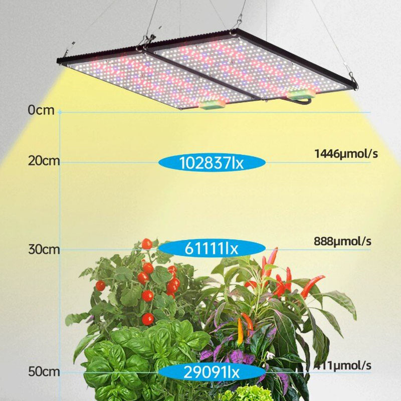 Lámpara de Cultivo LED Quantum - Grow Light Led reseña y precio
