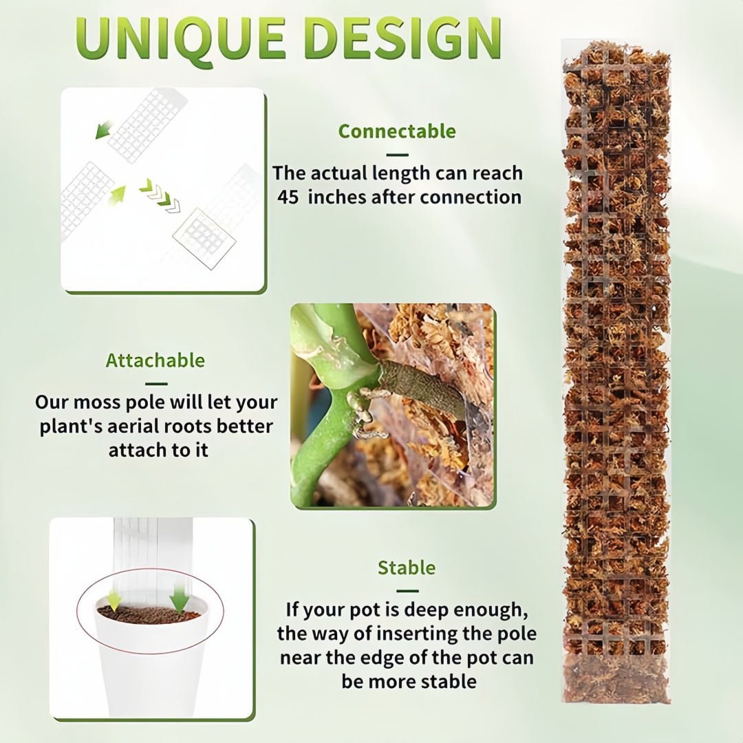 Poste de musgo, soporte de plá - Indoor Herb Garden reseña y precio