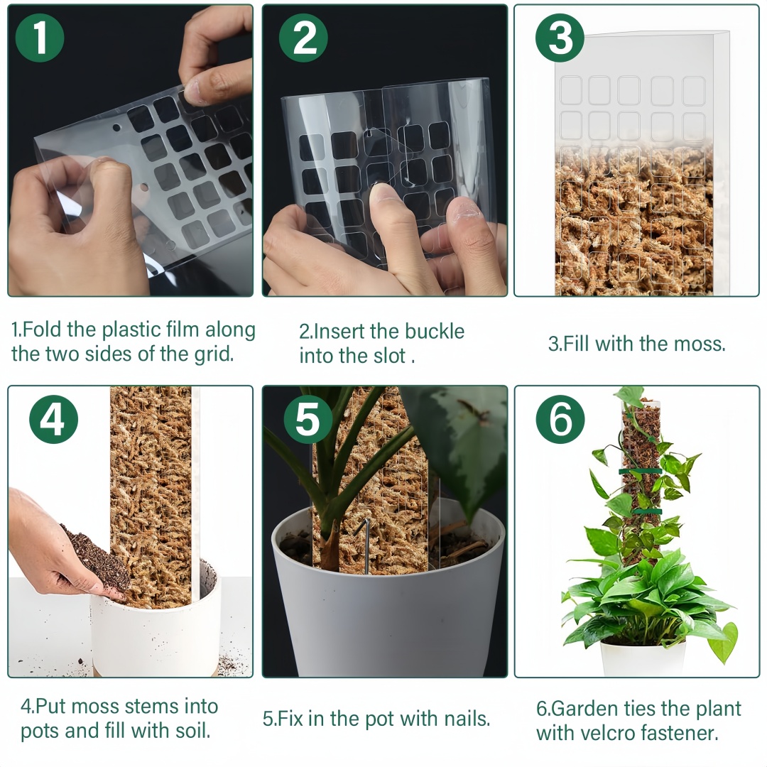 Poste de musgo, soporte de plá - Indoor Herb Garden reseña y precio