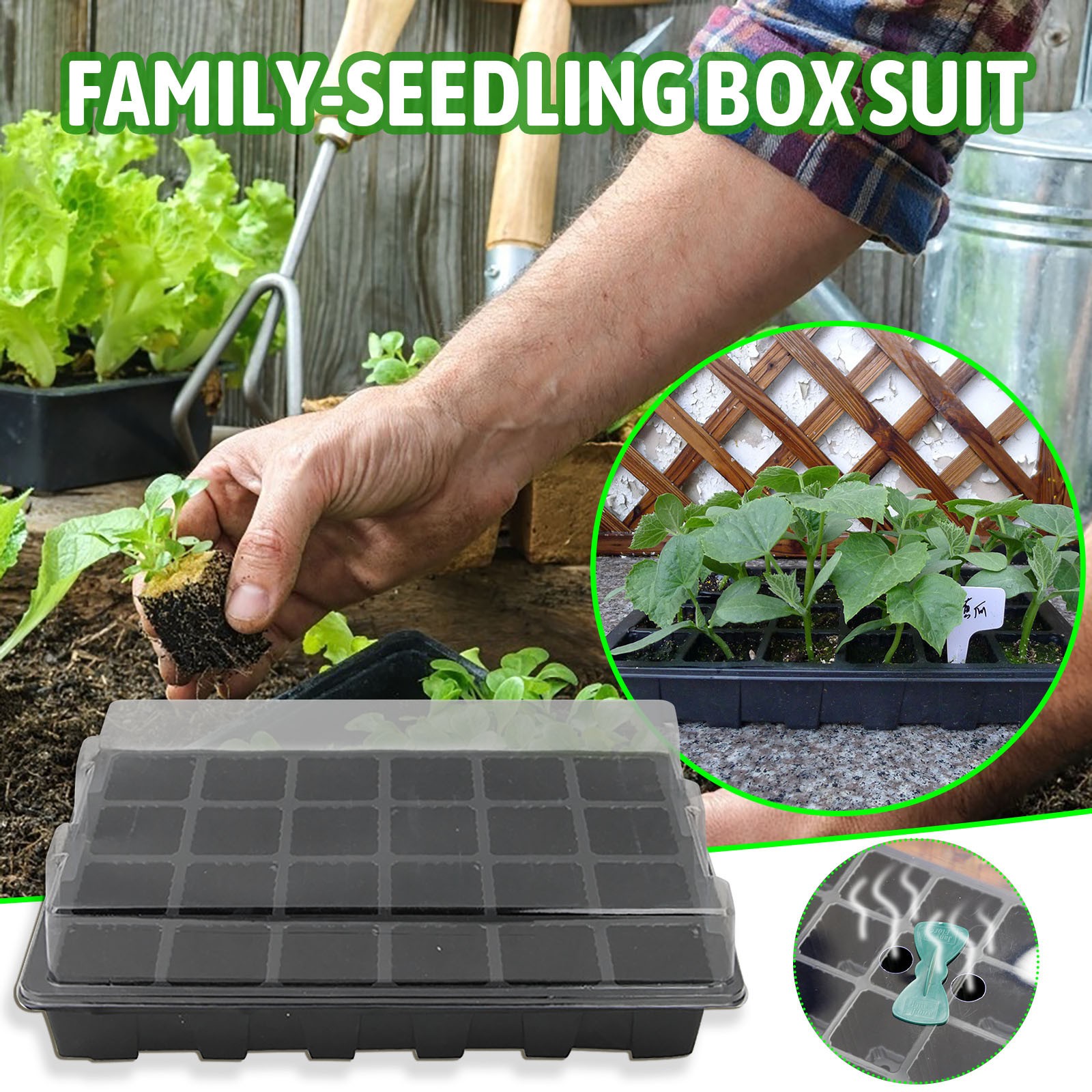 Bandeja de plántulas de 24 cel - Seed Starter Tray reseña y precio