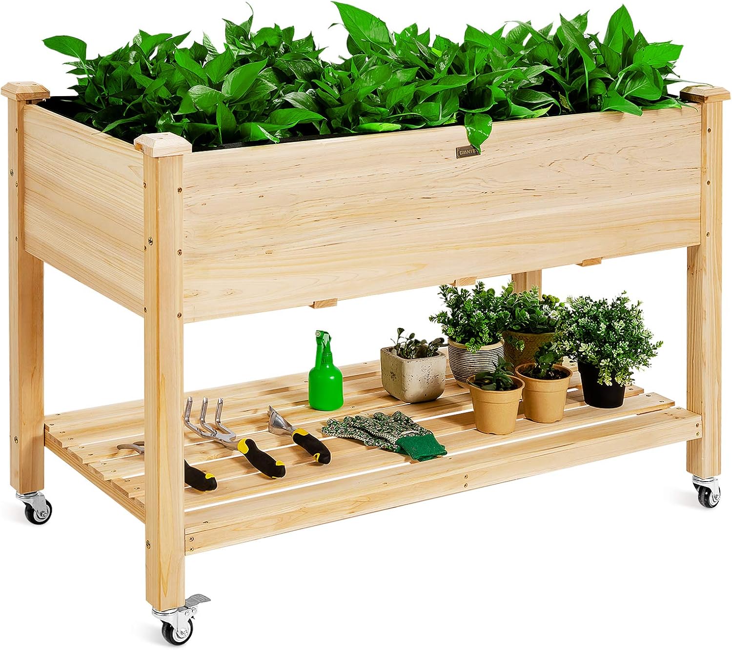 Jardinera Elevada de Madera co - Raised Garden Bed reseña y precio