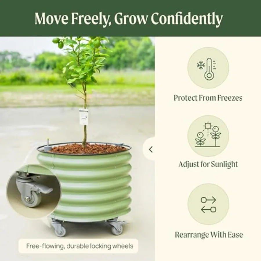 Macetero rodante para árboles  - Self Watering Planter reseña y precio