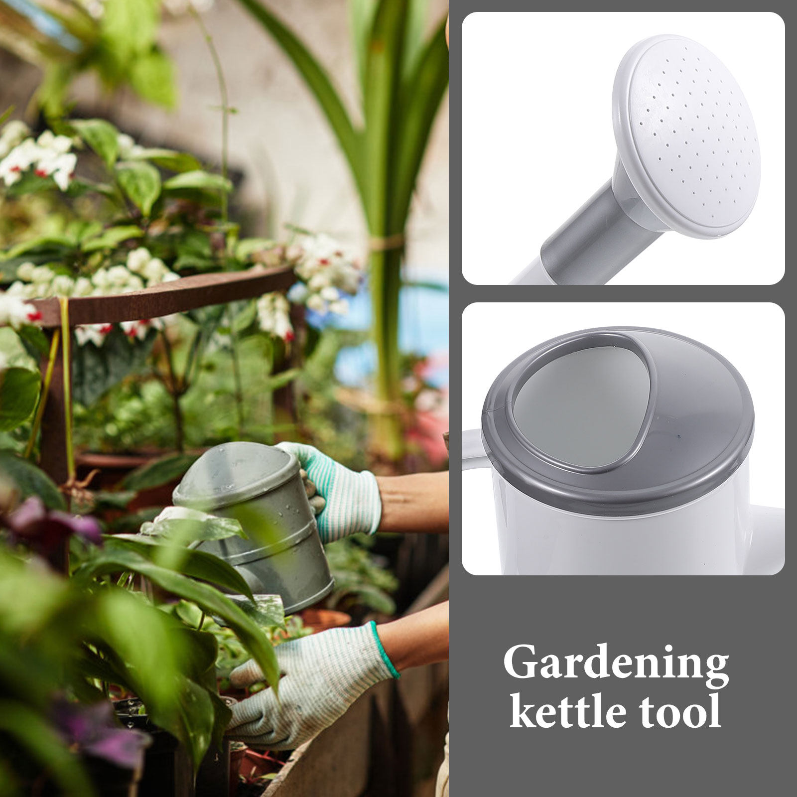 Regadera doméstica con boquill - Watering Can reseña y precio