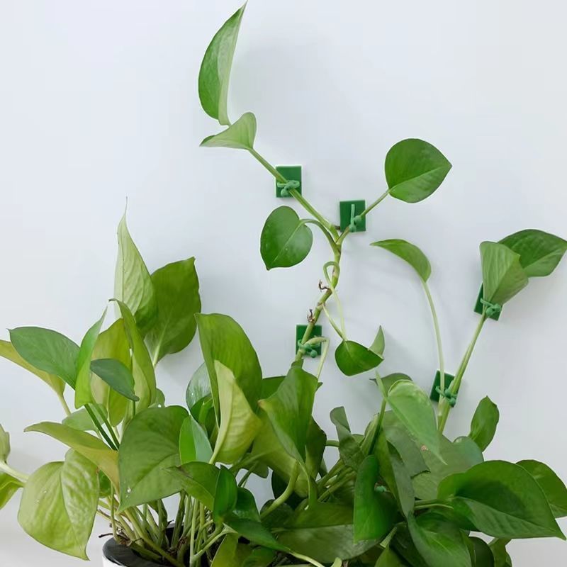 Clips autoadhesivos para fijar - Indoor Herb Garden reseña y precio