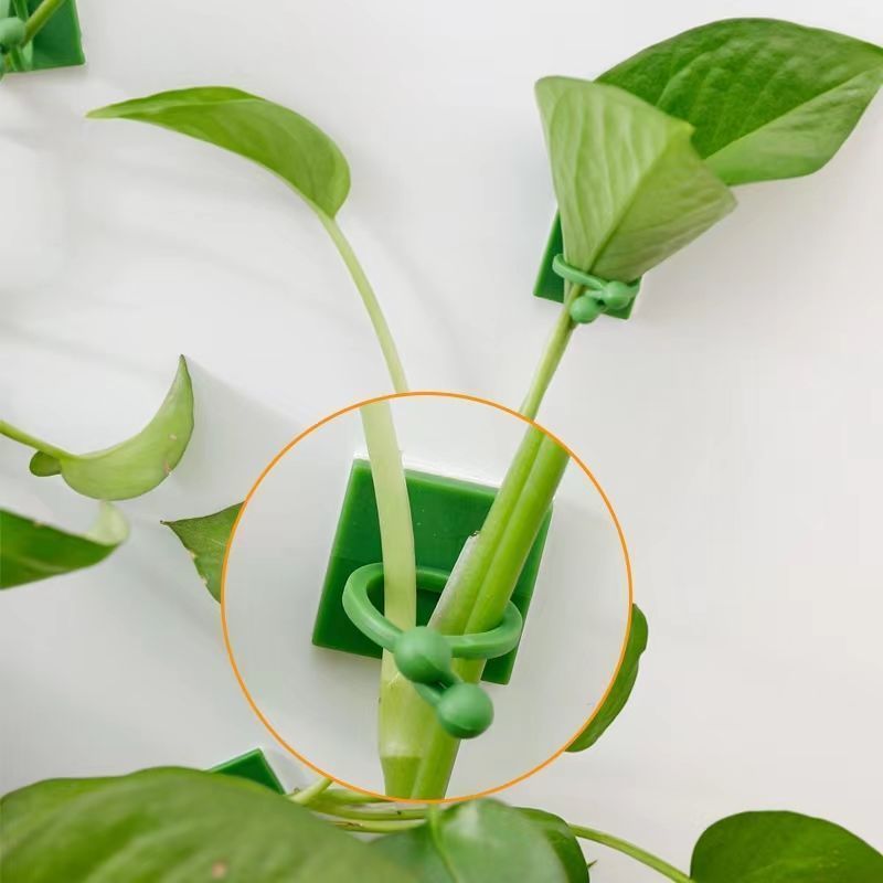Clips autoadhesivos para fijar - Indoor Herb Garden reseña y precio