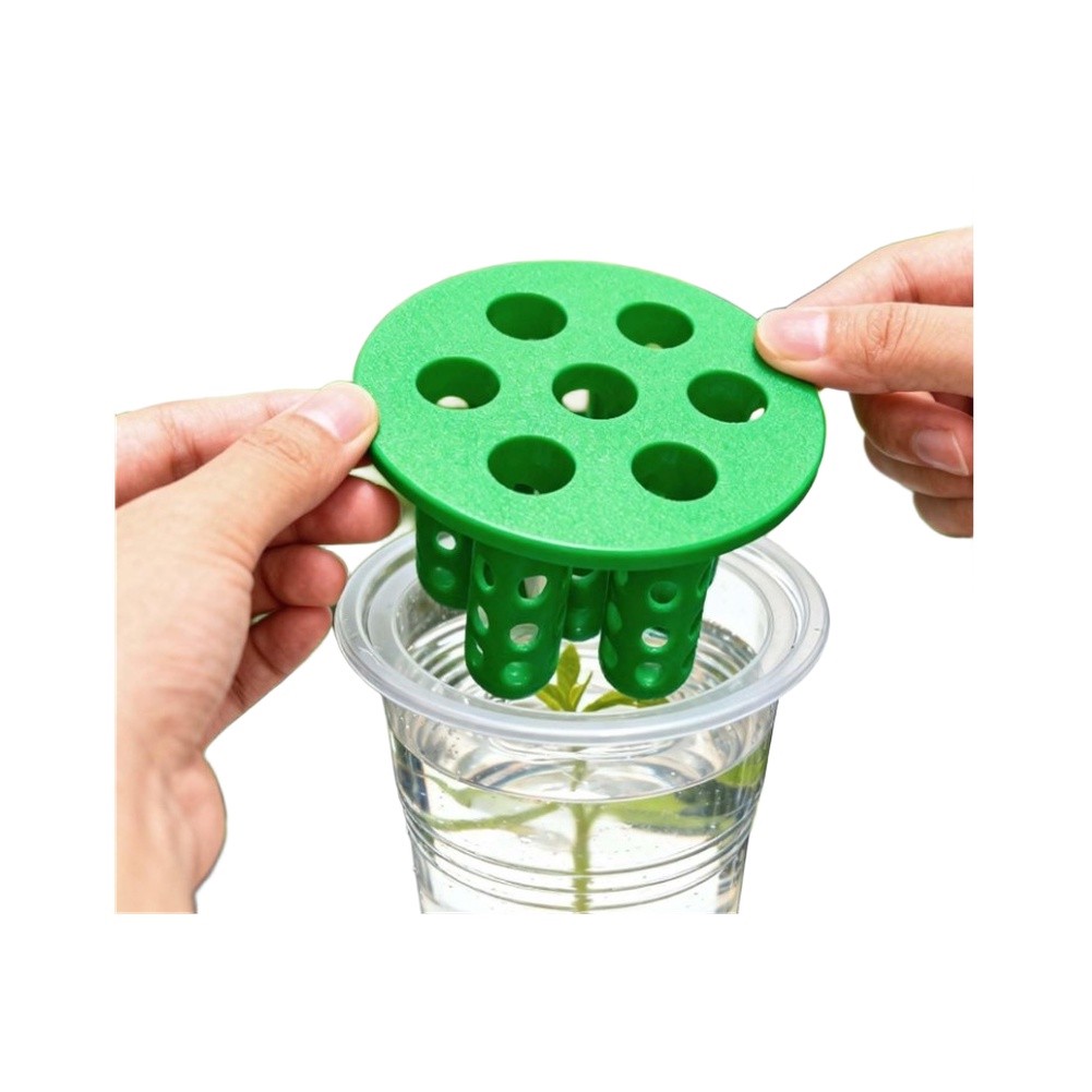 Kits de germinación de cebolla - Hydroponic Kit reseña y precio