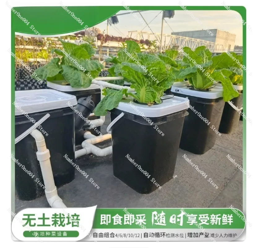 Kit de Cultivo Hidropónico par - Hydroponic Kit reseña y precio