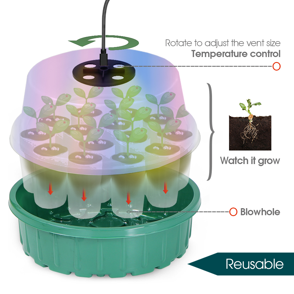 Bandeja de inicio de semillas  - Seed Starter Tray reseña y precio