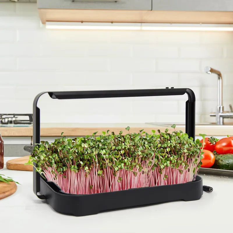 Bandeja Hidropónica para Inter - Hydroponic Kit reseña y precio