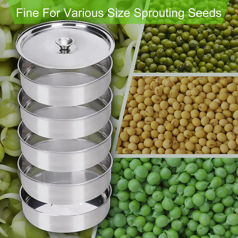 Kit de germinación de plantas  - Hydroponic Kit reseña y precio