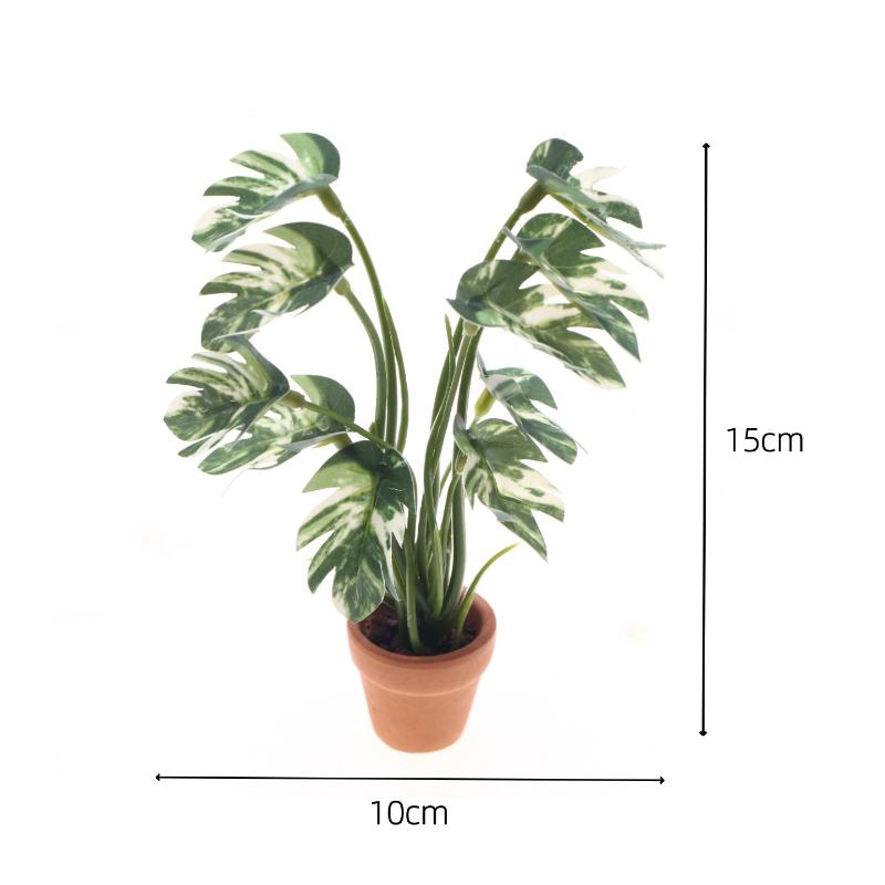 Nuevo. 1 unidad. Planta verde  - Plant Pot reseña y precio