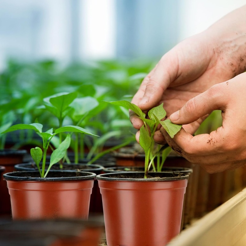 100/20x Macetas de vivero negr - Seed Starter Tray reseña y precio