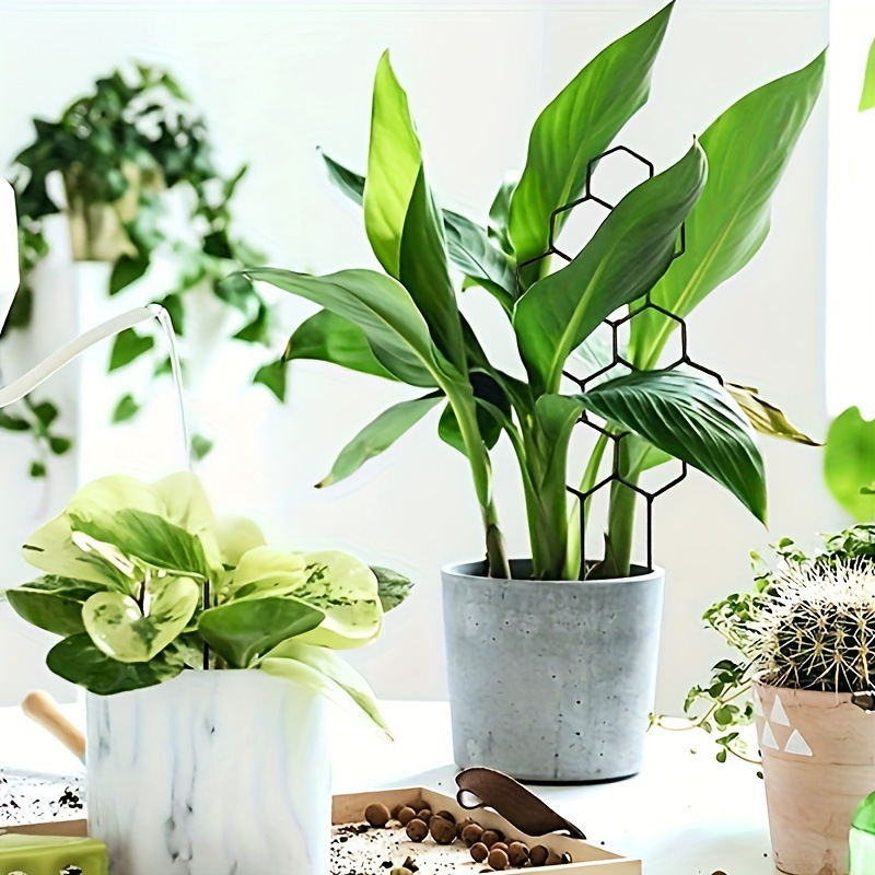 1 unidad de soporte para plant - Indoor Herb Garden reseña y precio