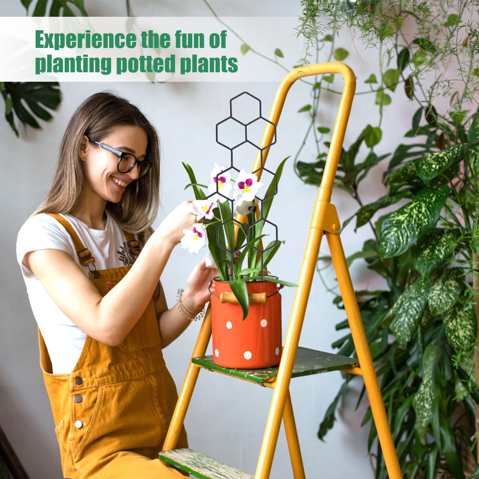 1 unidad de soporte para plant - Indoor Herb Garden reseña y precio